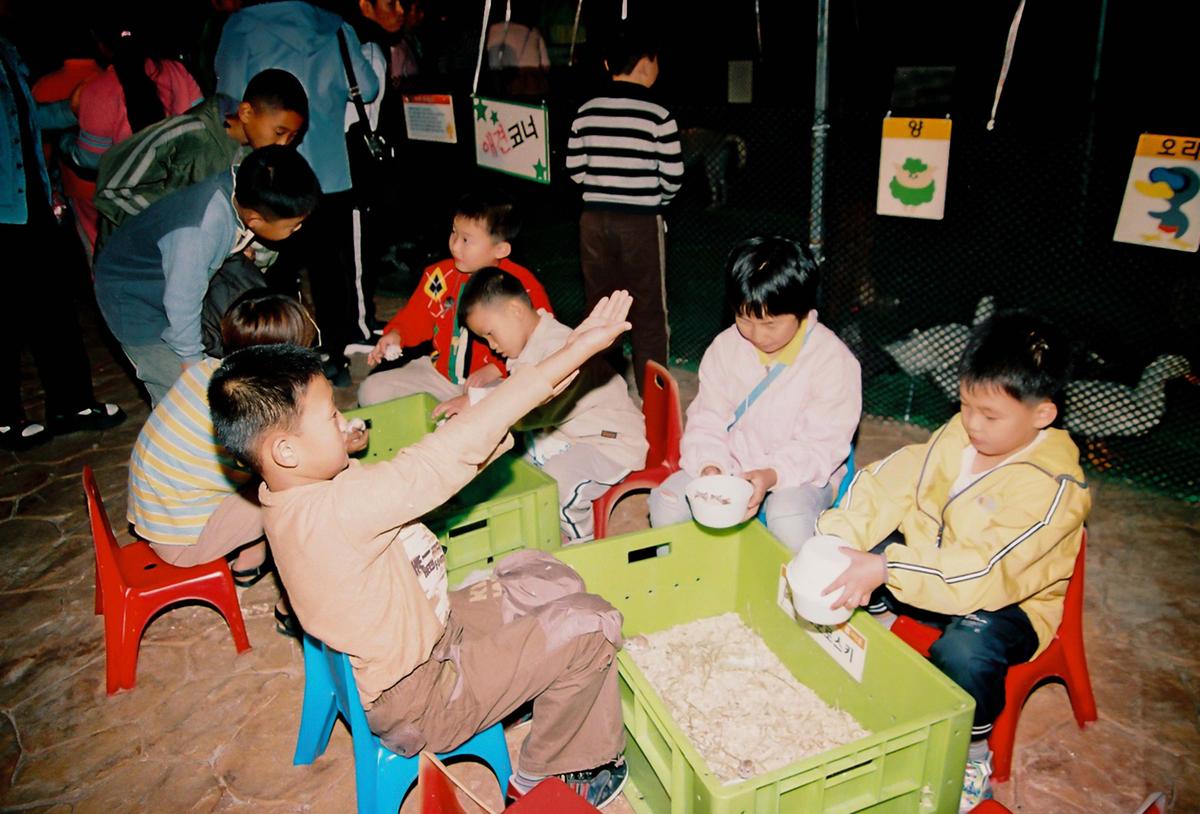 제21회 대야문화제