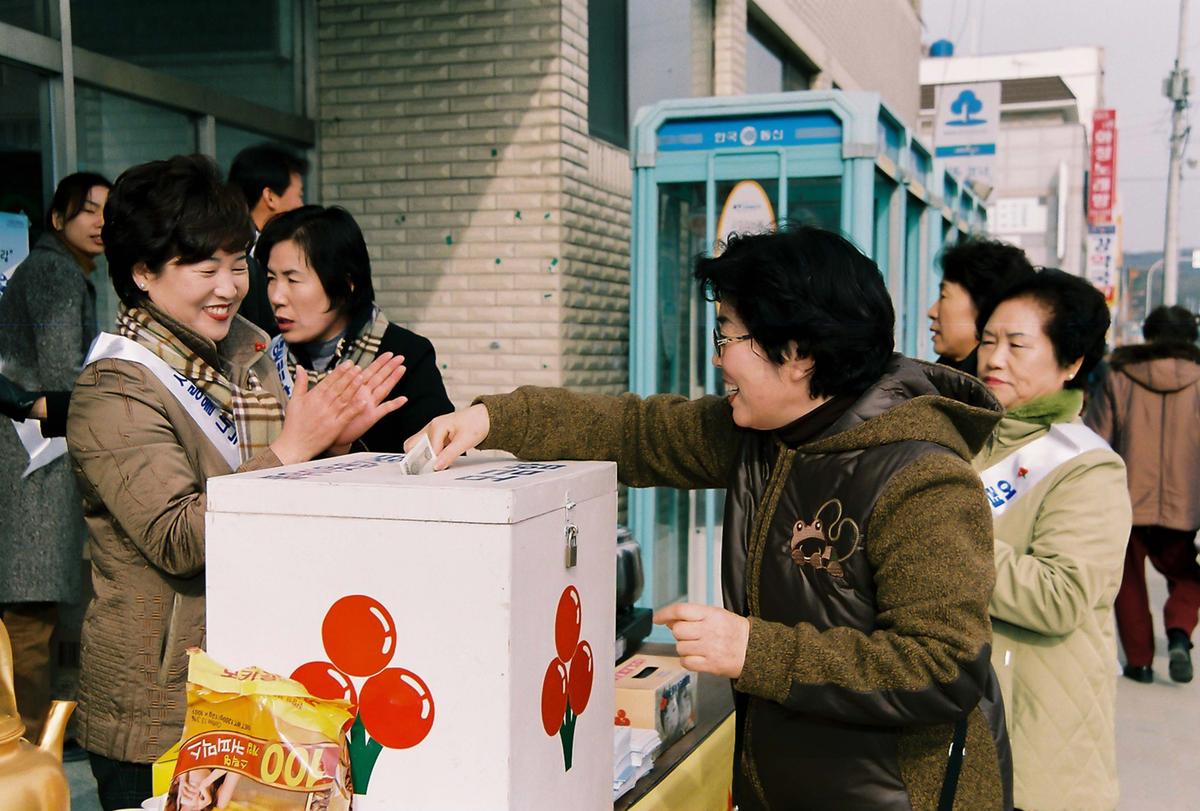사랑의 열매