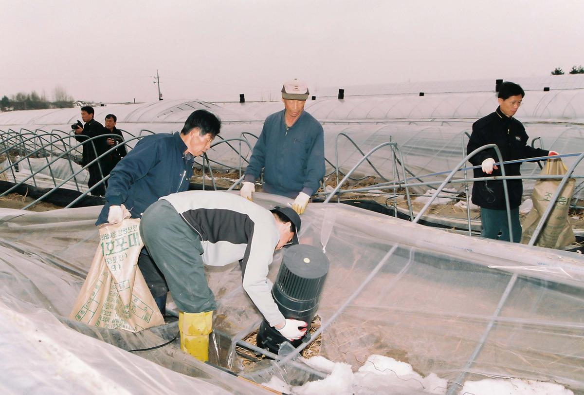 폭설피해농가일손돕기