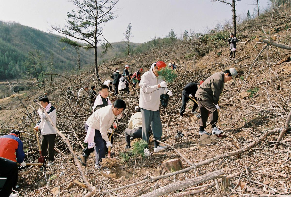 제59회 식목일 행사