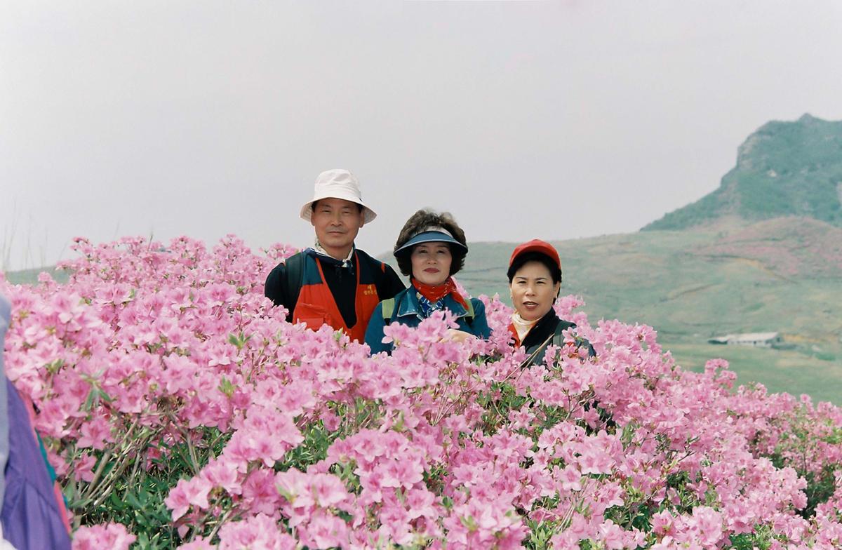 인물