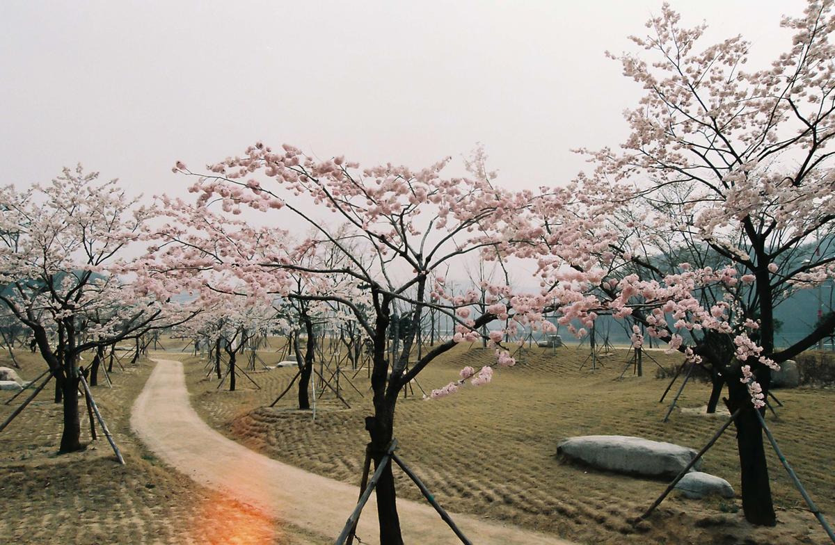 합천군체육회 임시총회