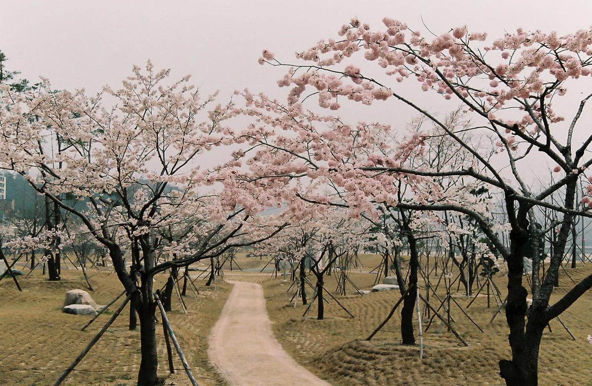 합천군체육회 임시총회