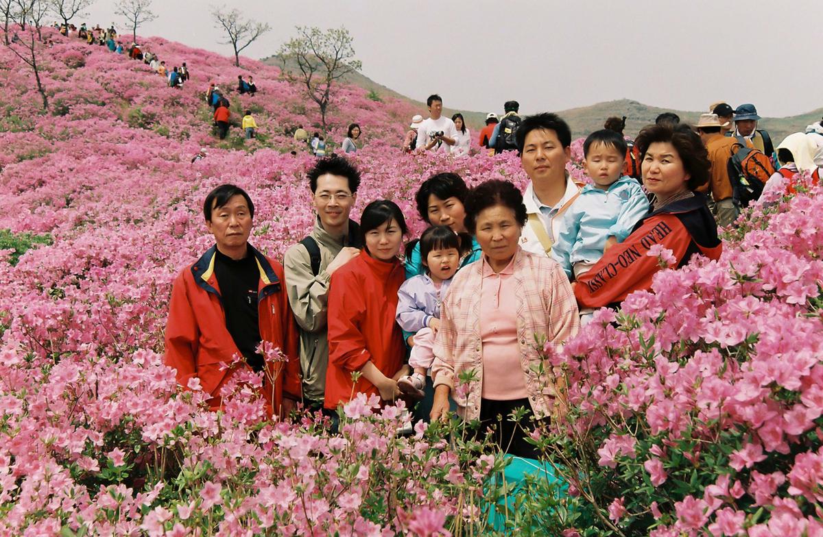 황매산 철쭉제단