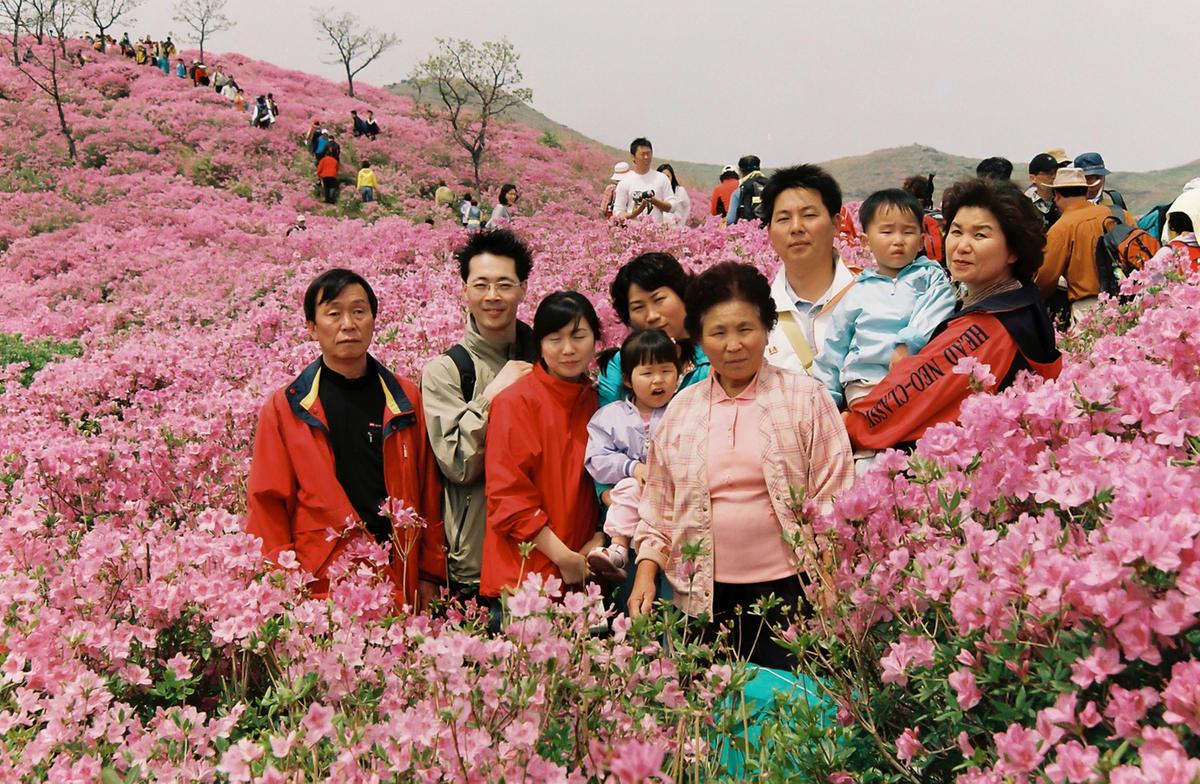 황매산 철쭉제단