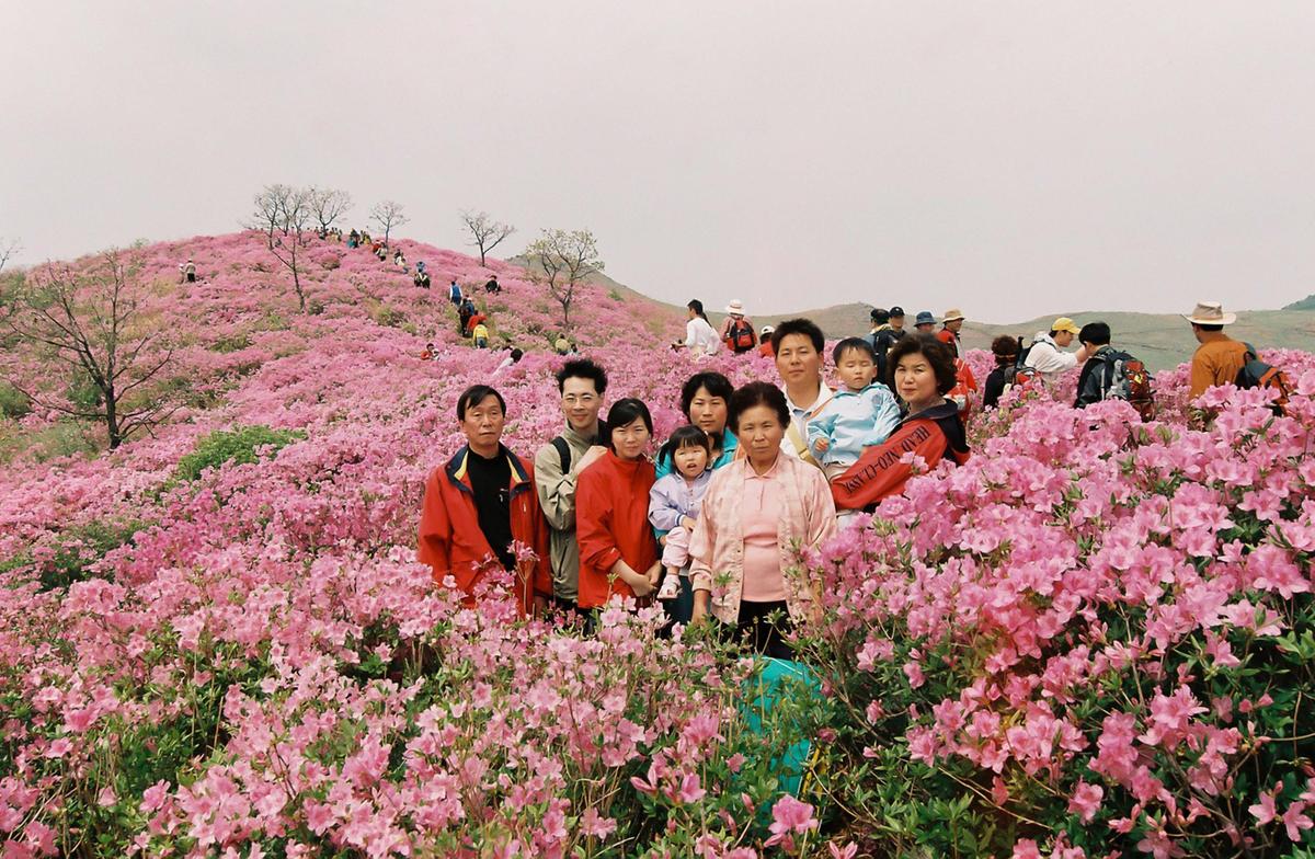 황매산 철쭉제단