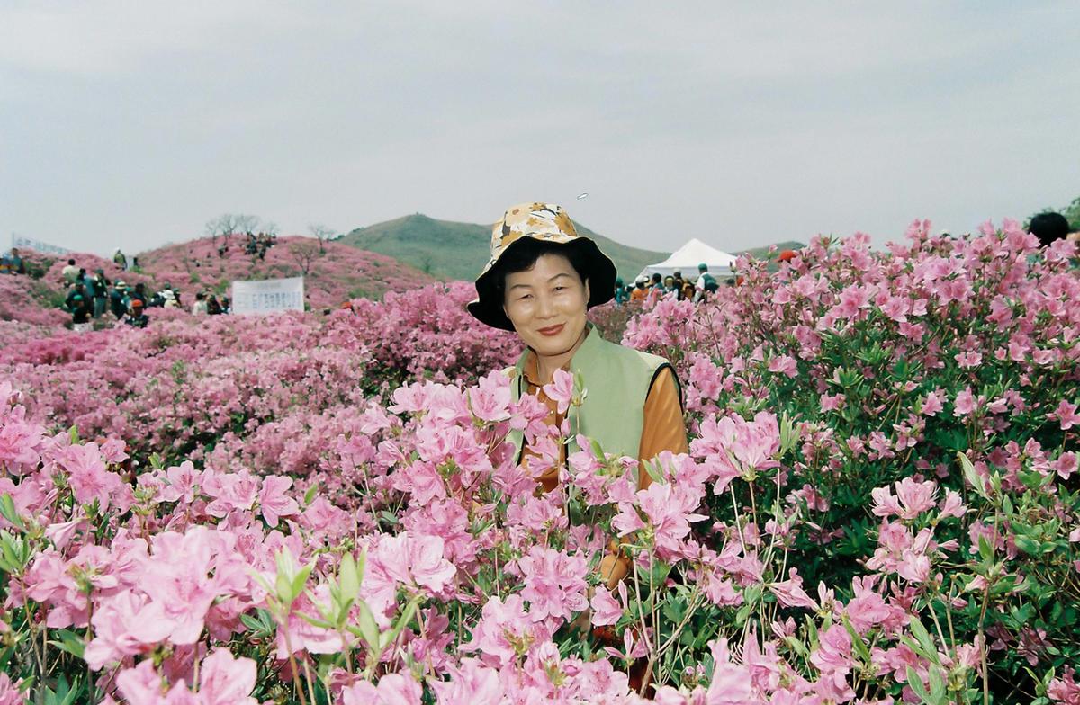 황매산 철쭉제단
