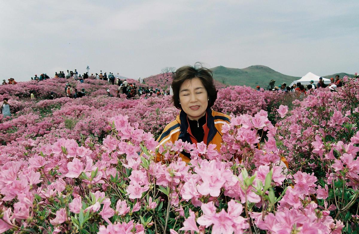 황매산 철쭉제단