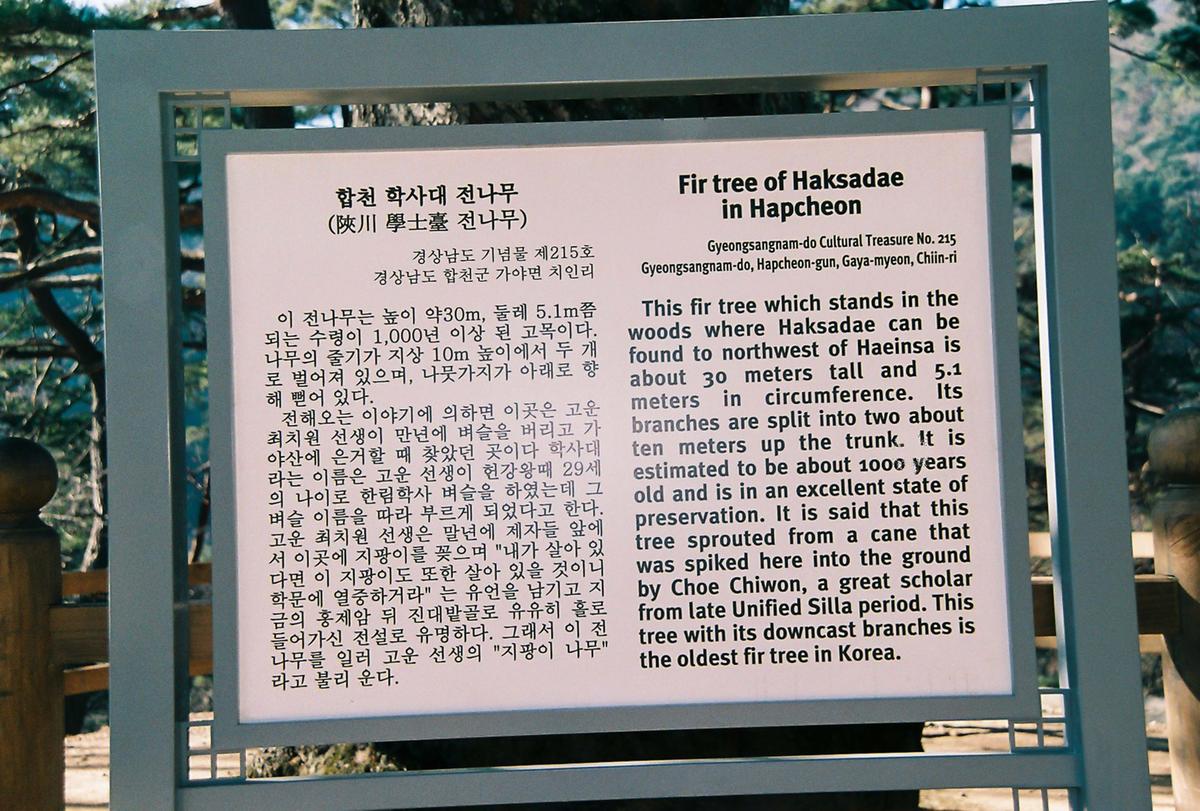 안내문