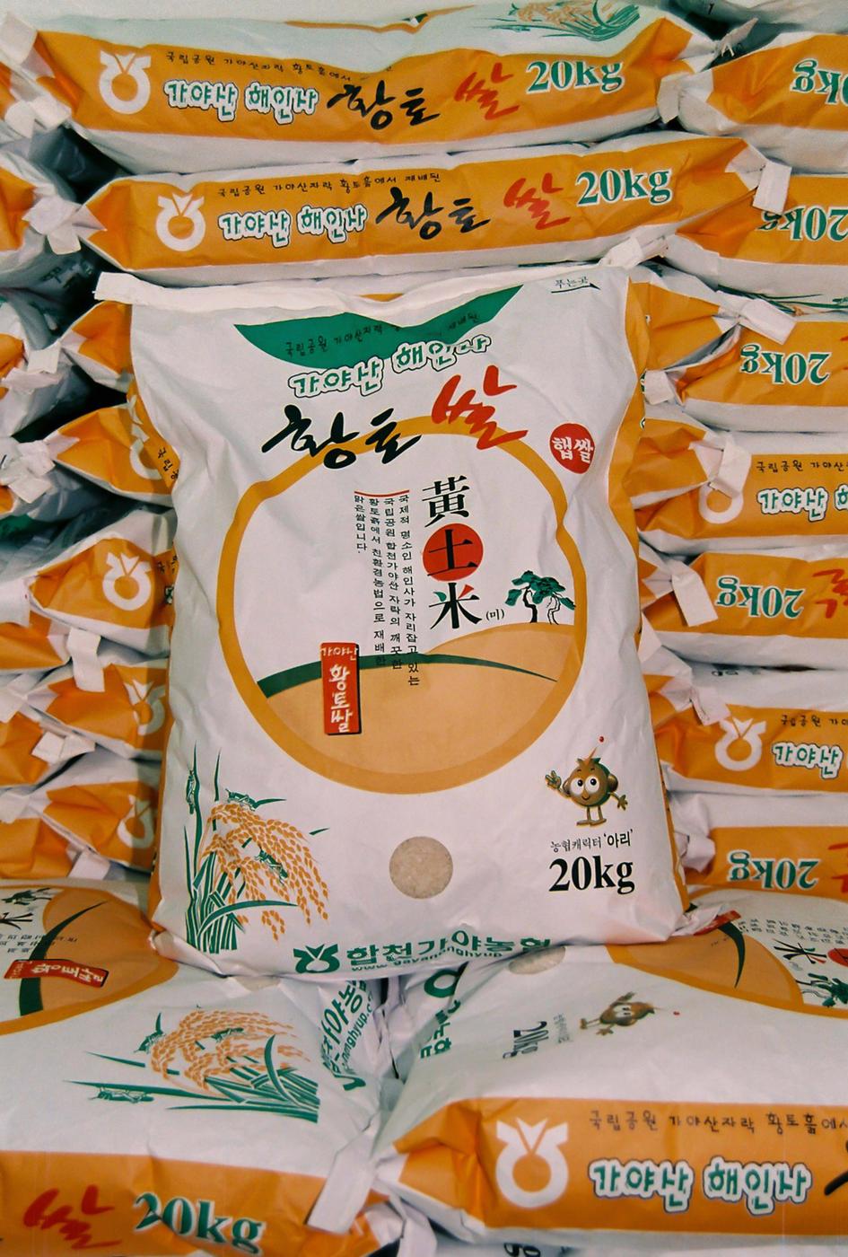 황토쌀