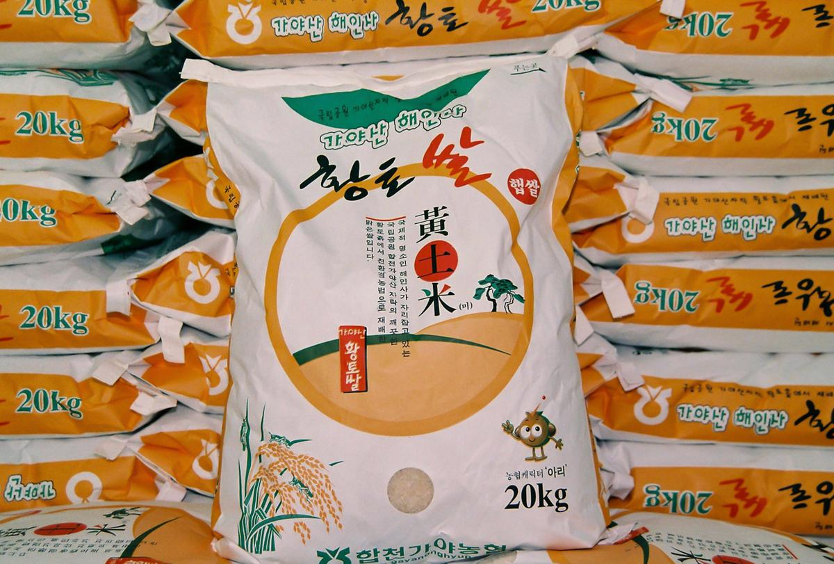 황토쌀