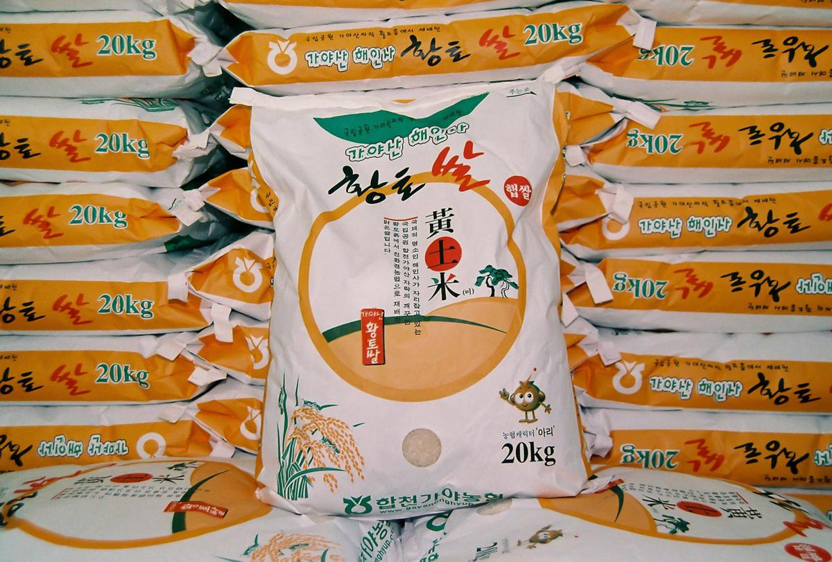 황토쌀