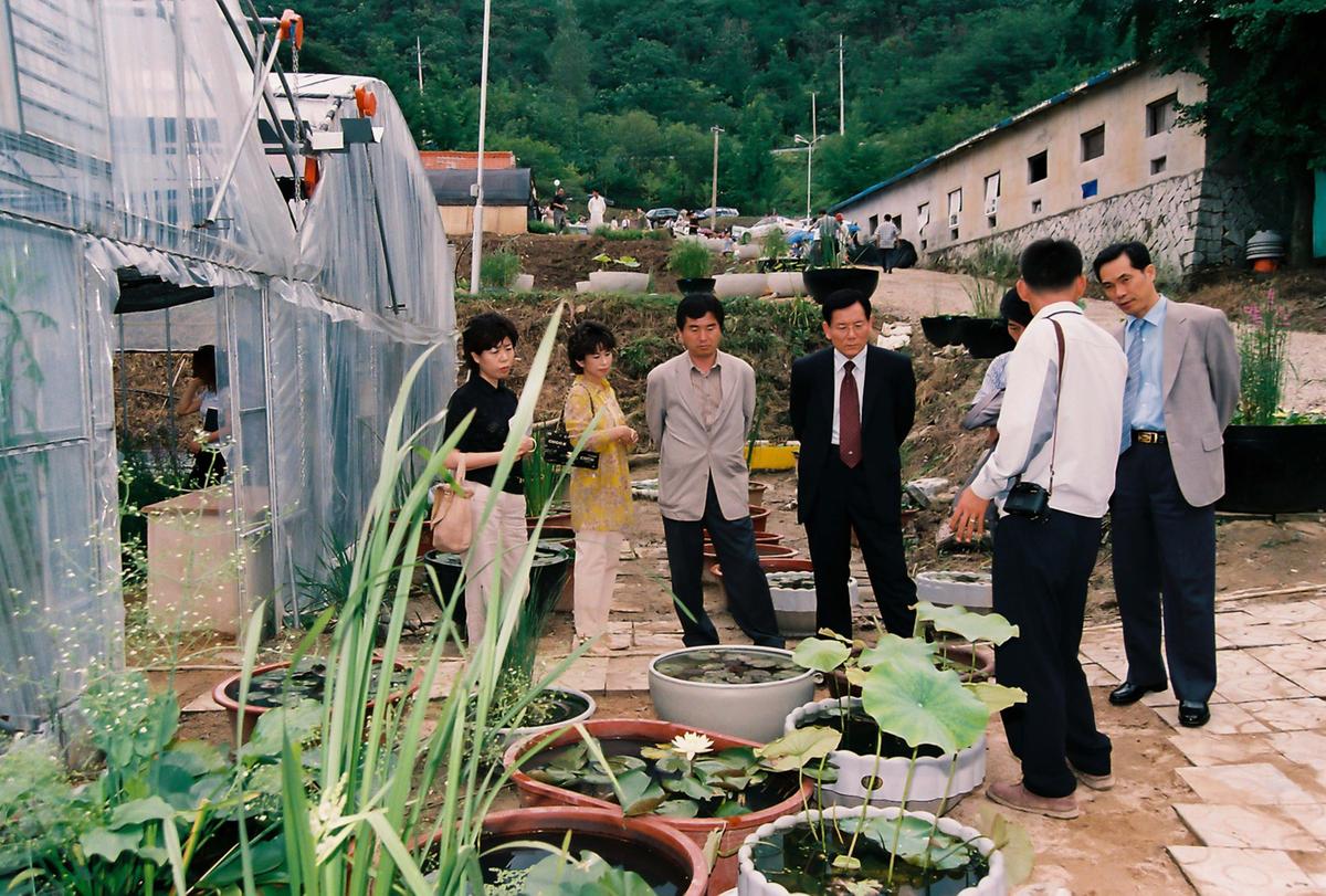 화원