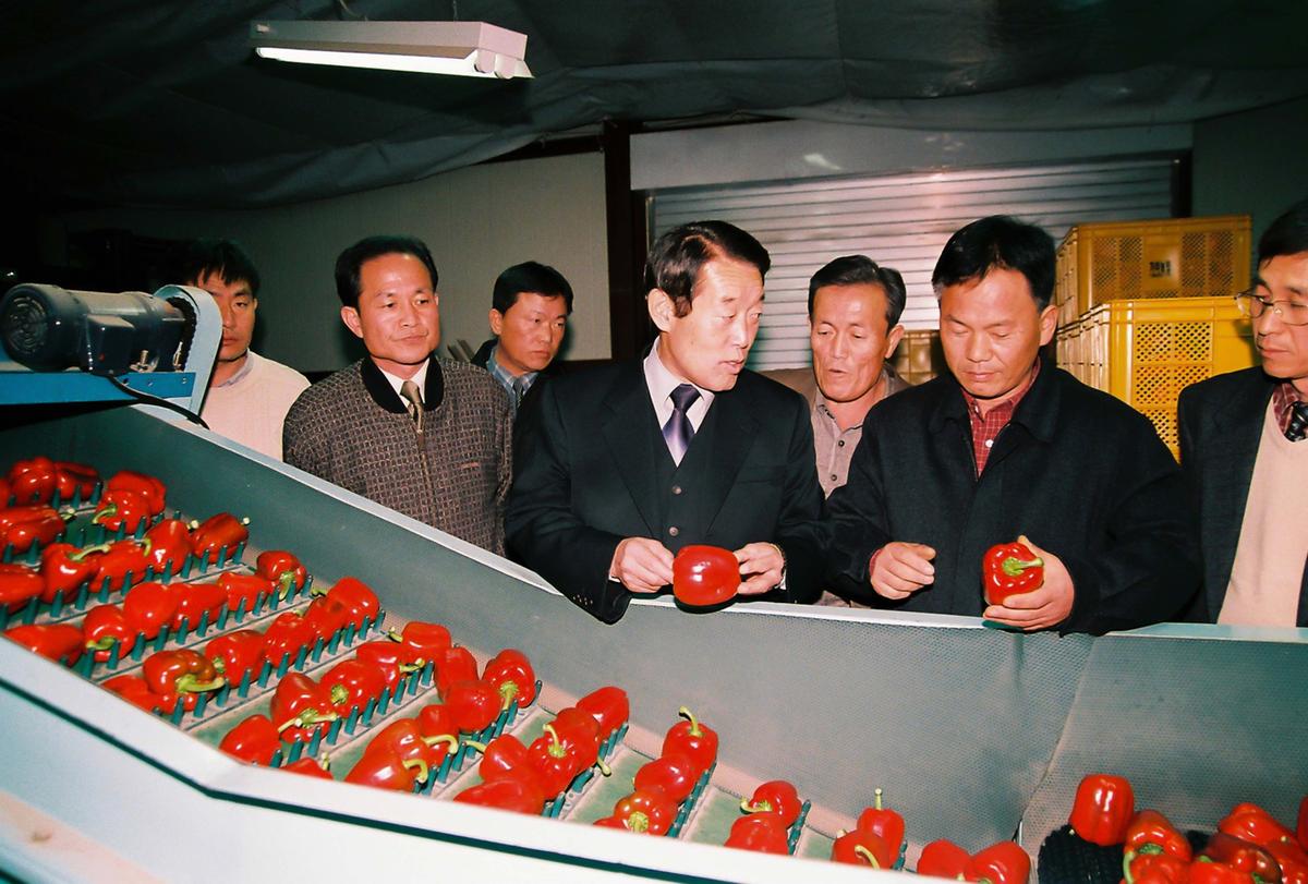현장방문