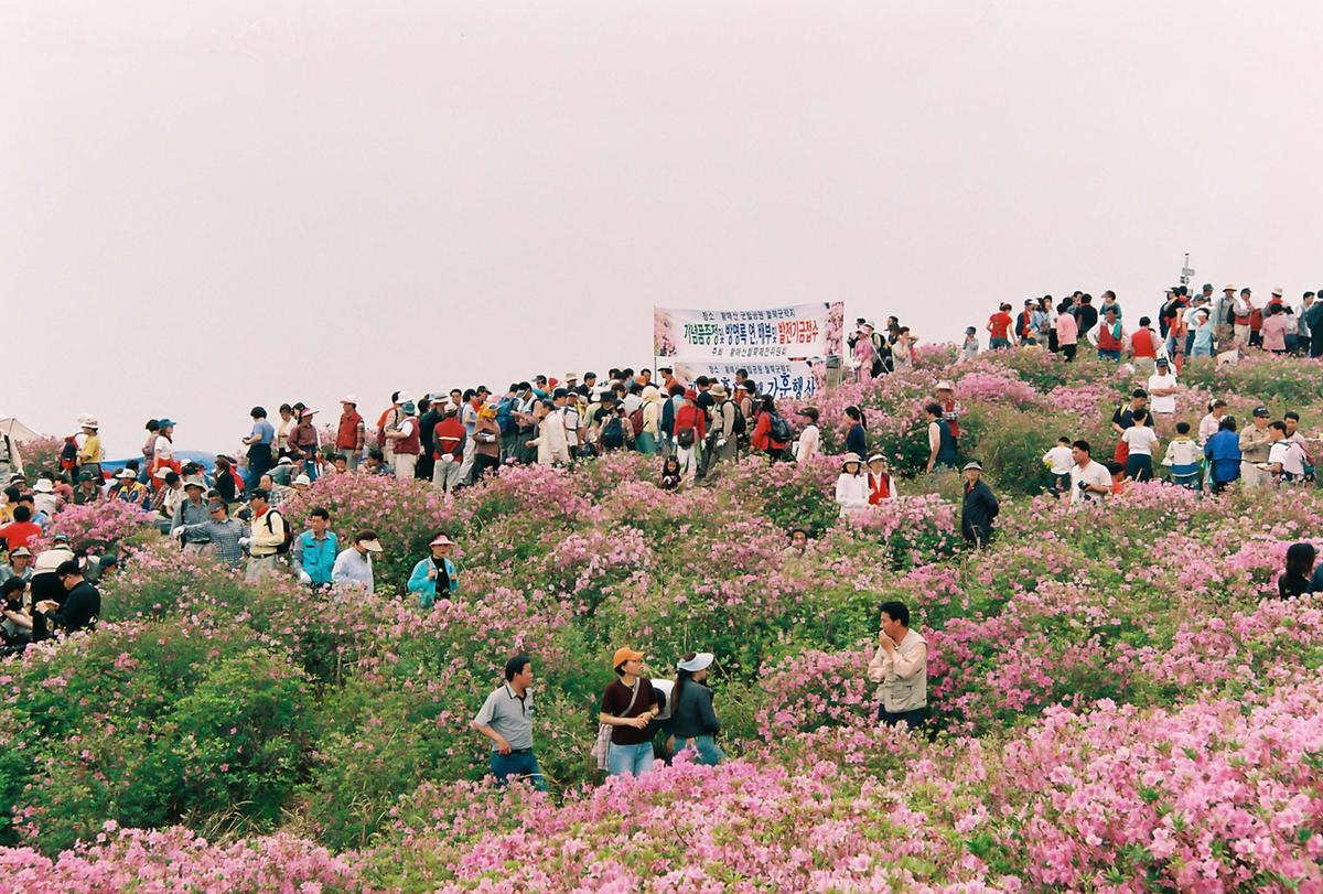 2003 황매산 철쭉제례