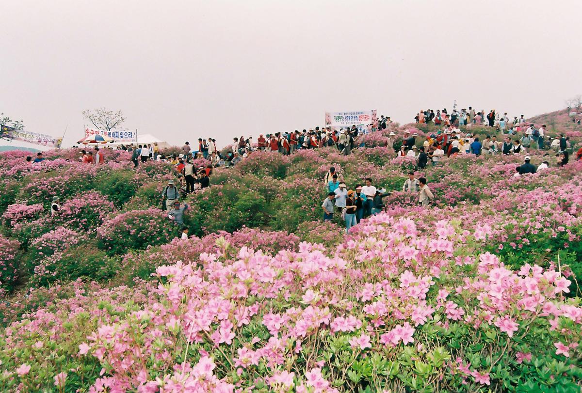 2003 황매산 철쭉제례