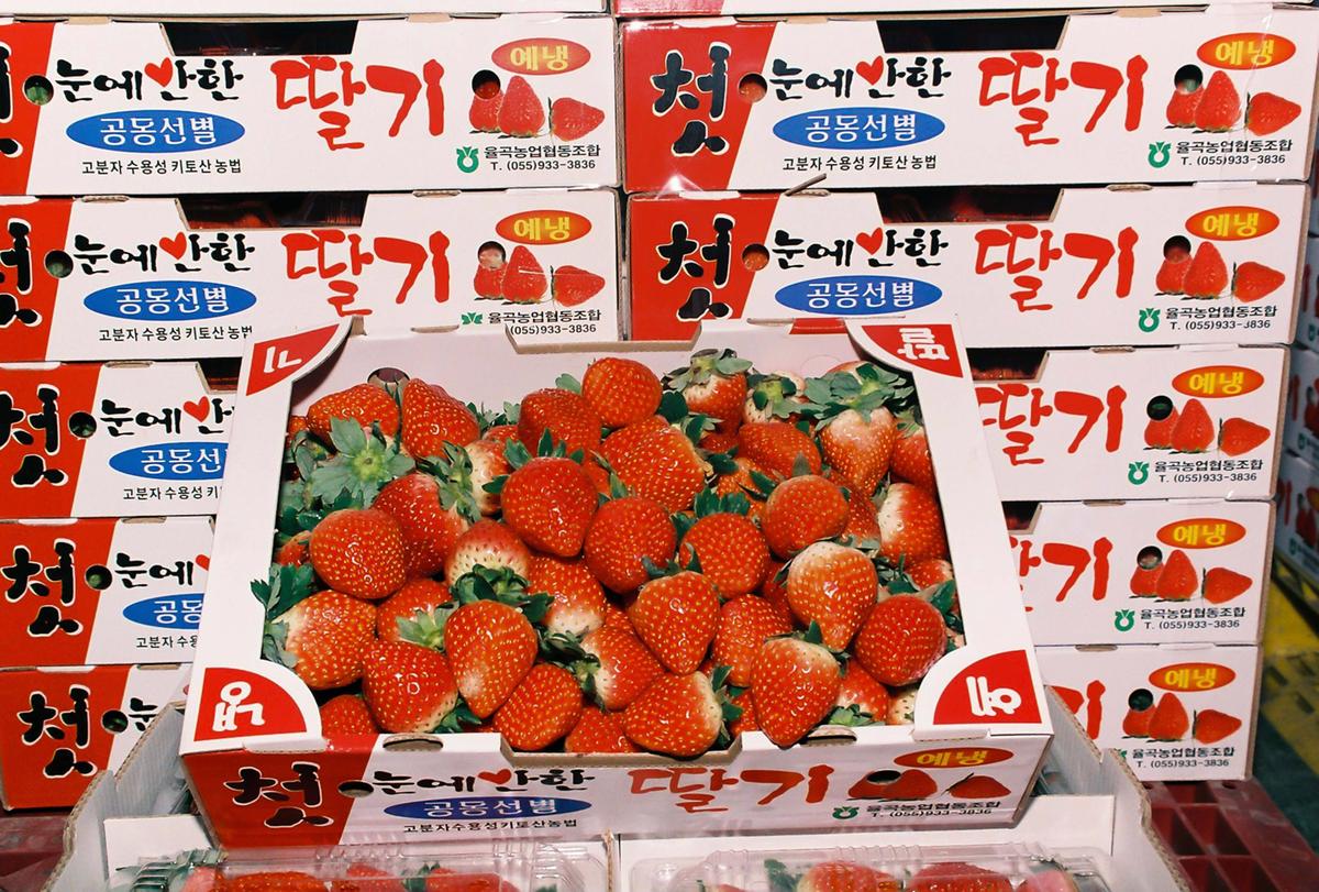 딸기