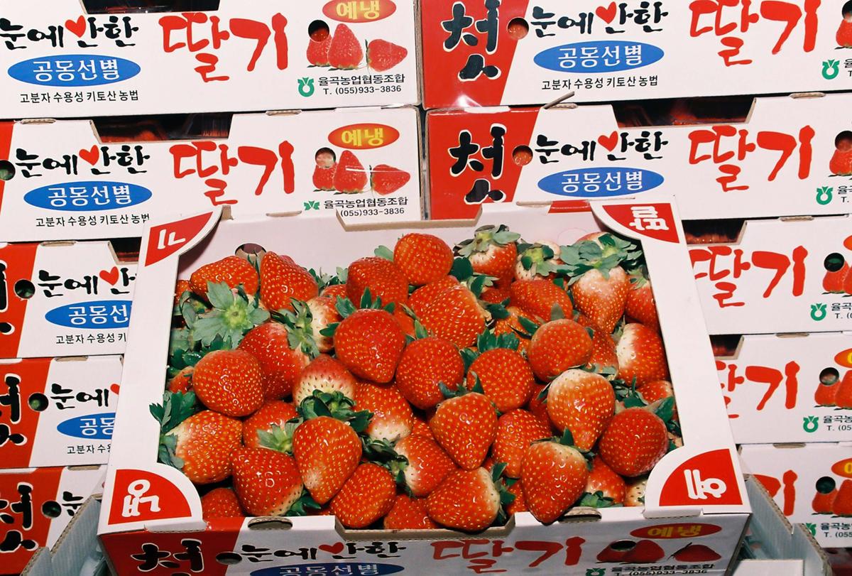 딸기