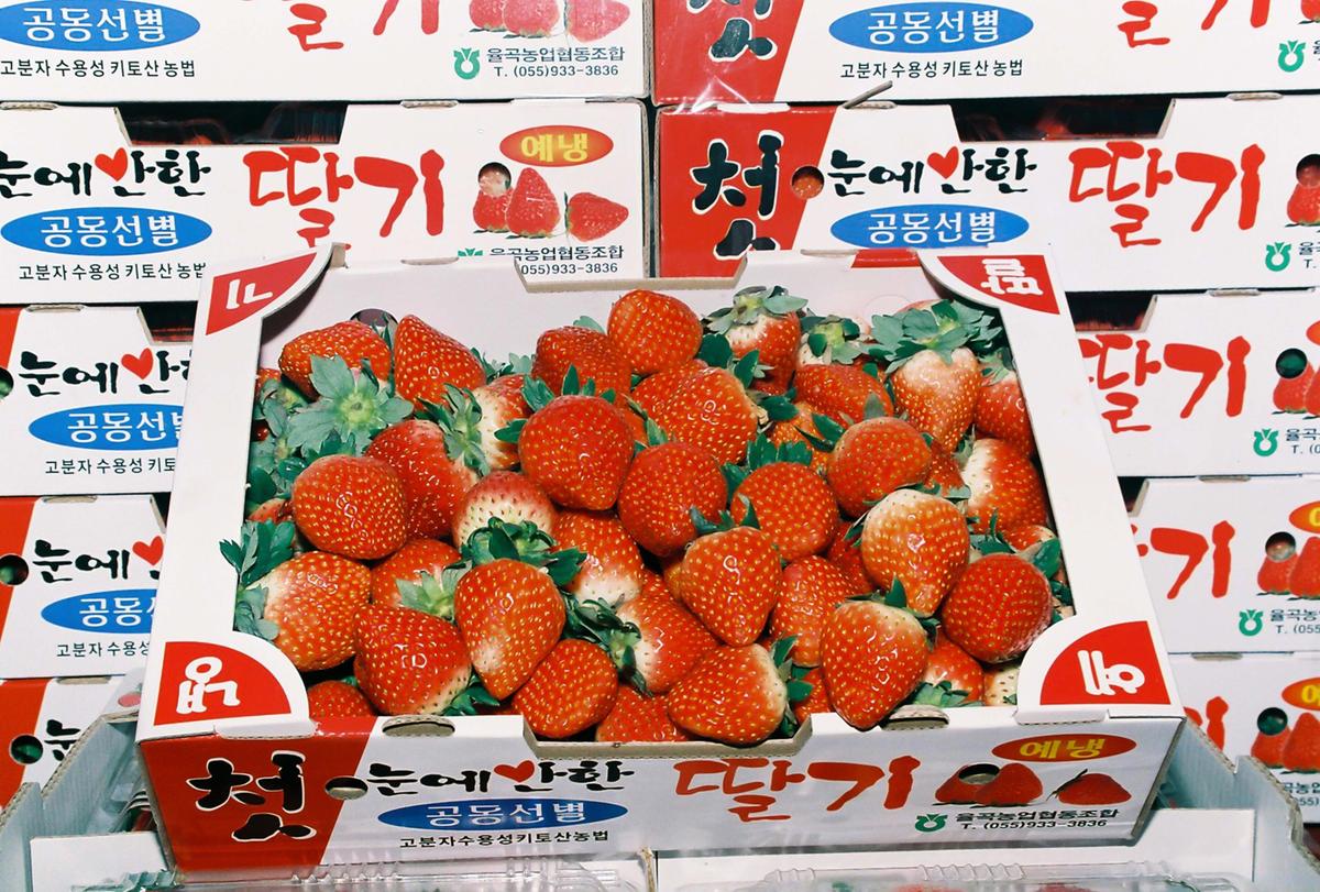 딸기