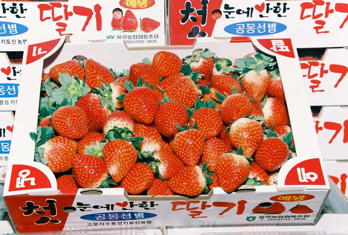 딸기