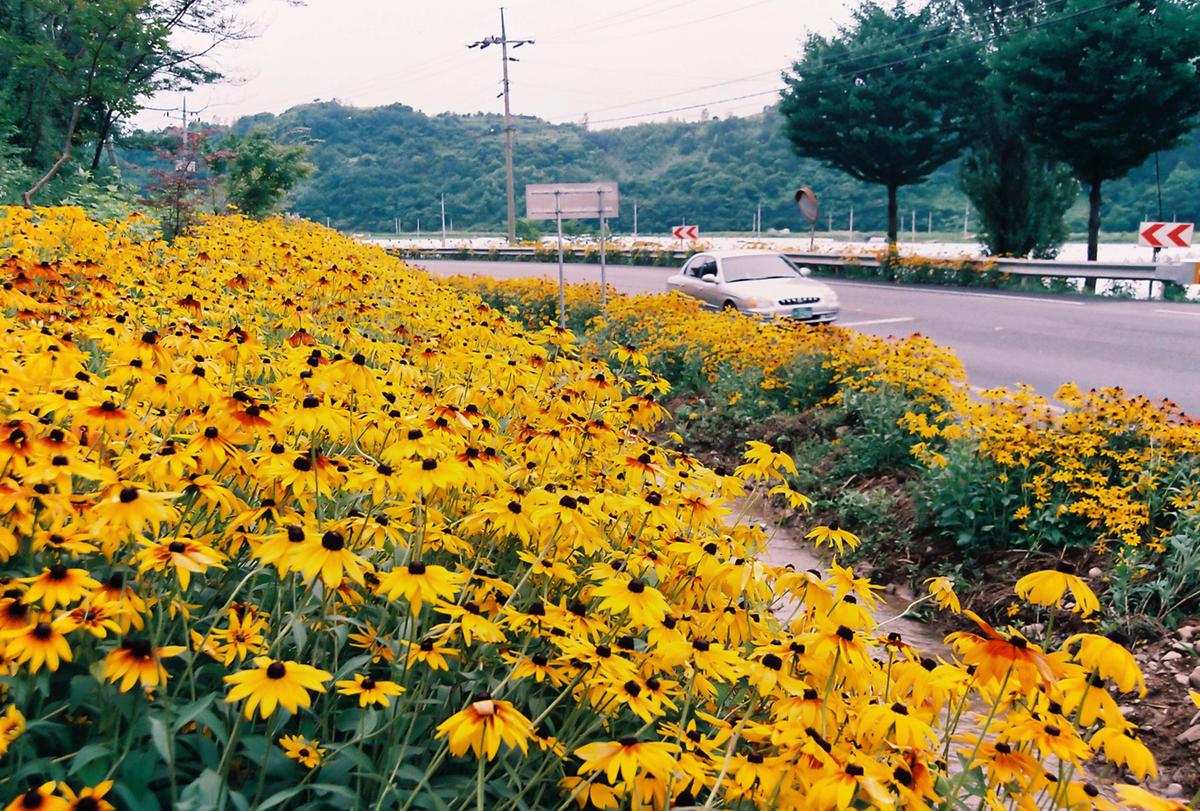 교각준공