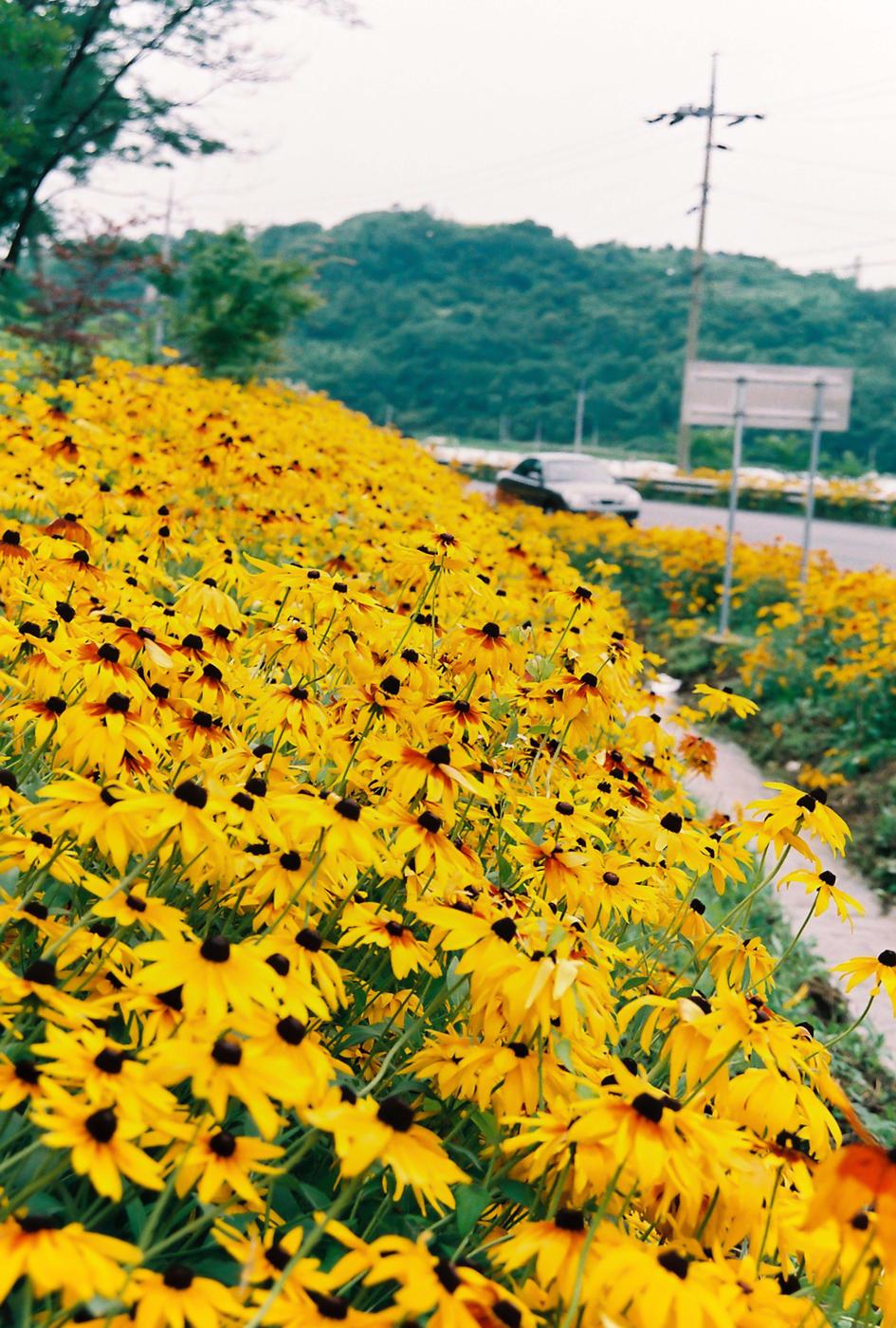 교각준공