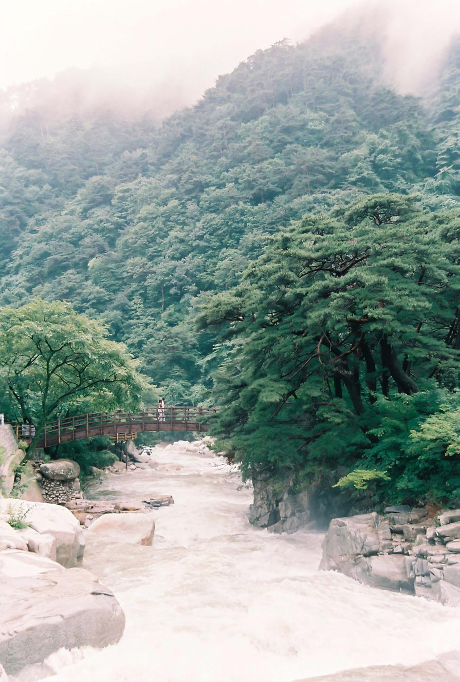 계곡