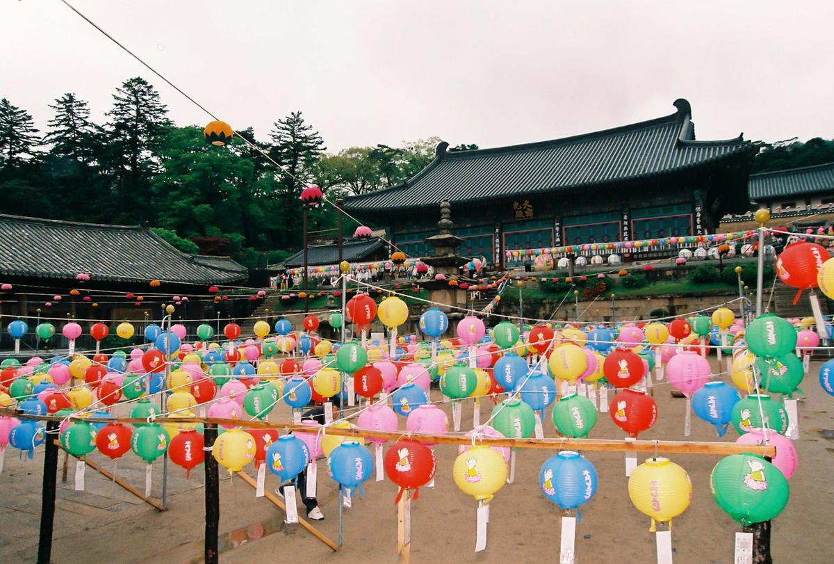 2003 팔만대장경축제
