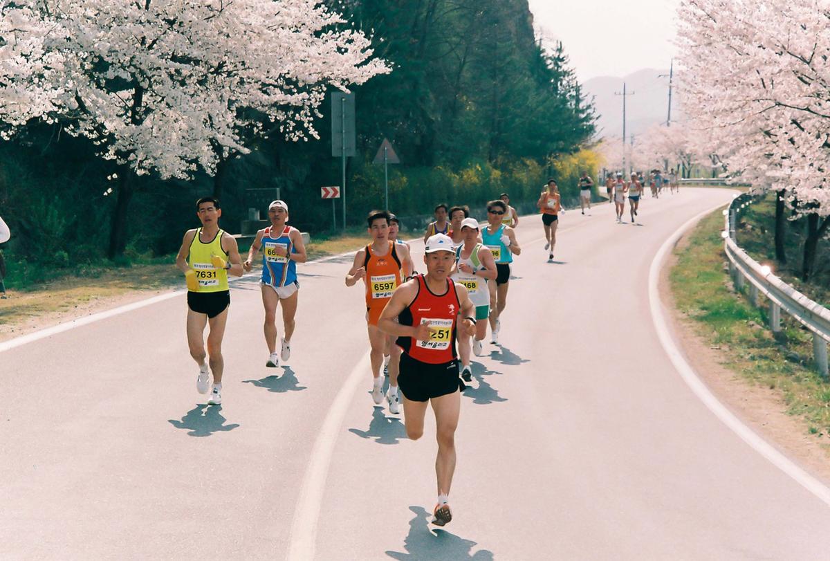 제2회 합천벚꽃마라톤대회