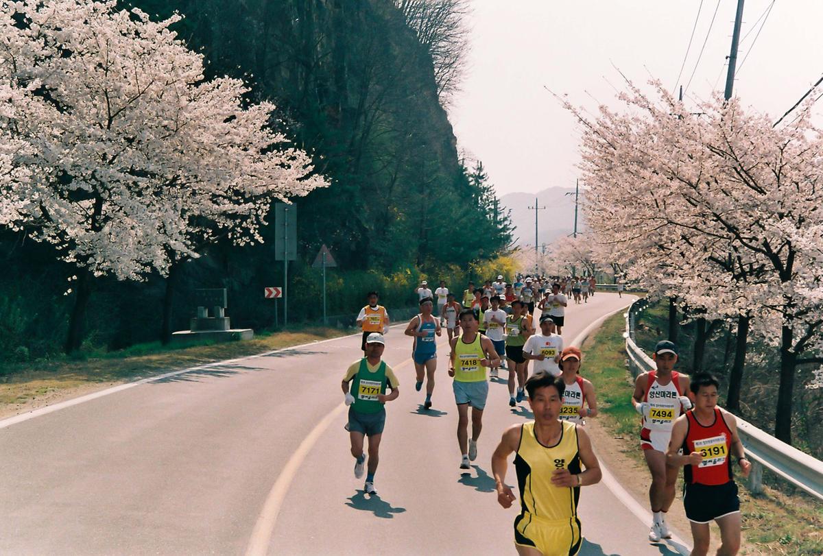 제2회 합천벚꽃마라톤대회