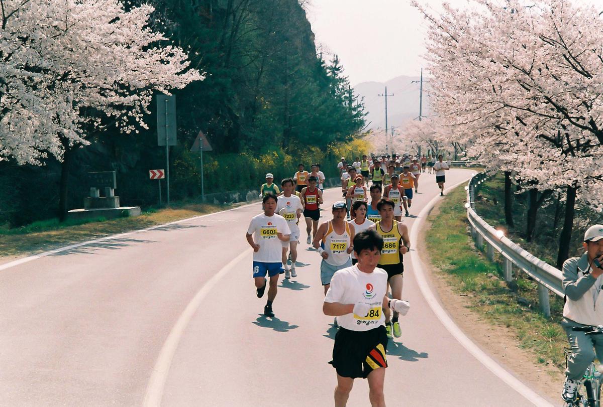제2회 합천벚꽃마라톤대회