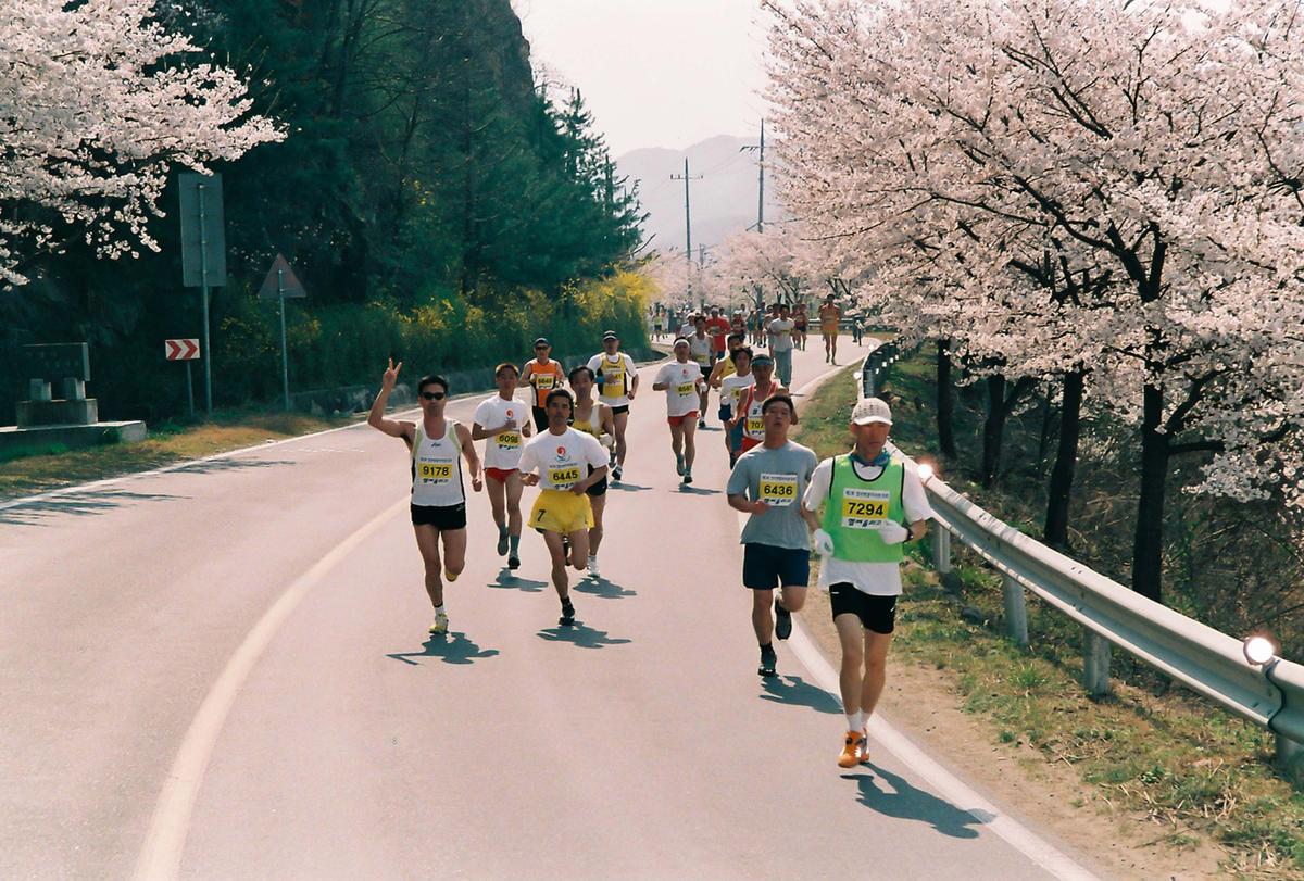 제2회 합천벚꽃마라톤대회