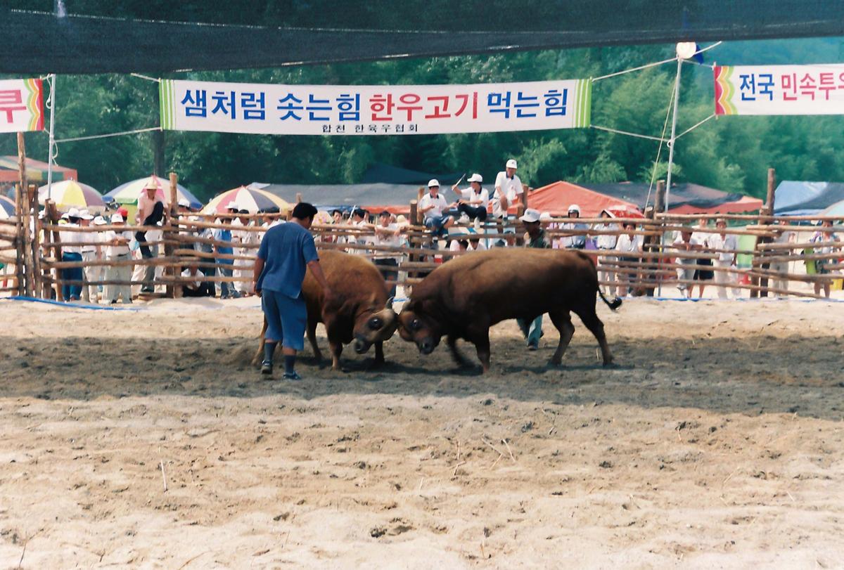 제3회 전국민속투우대회