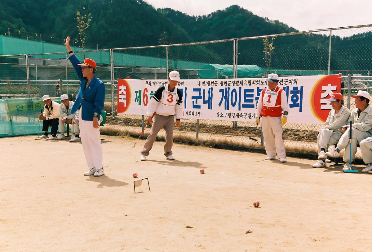 제6회 군수기 군내 게이트볼대회