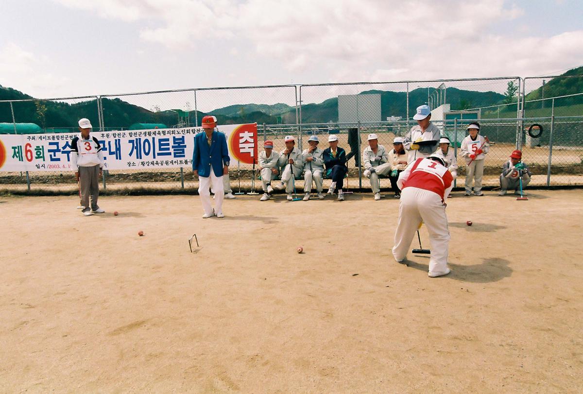 제6회 군수기 군내 게이트볼대회