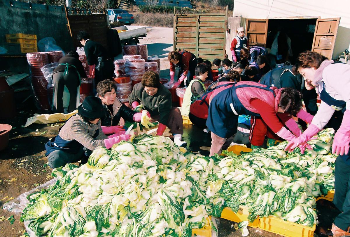 제15회 4-H대상 시상식 및 연말총회