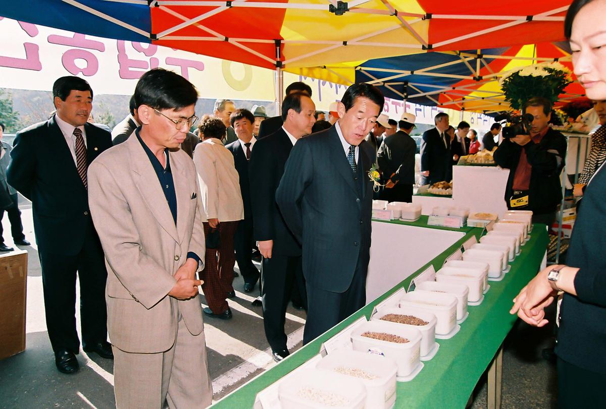 제20회 대야문화제