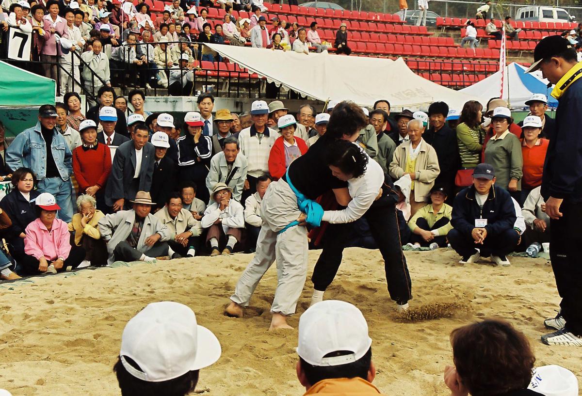 제20회 대야문화제 제22회 군민체육대회