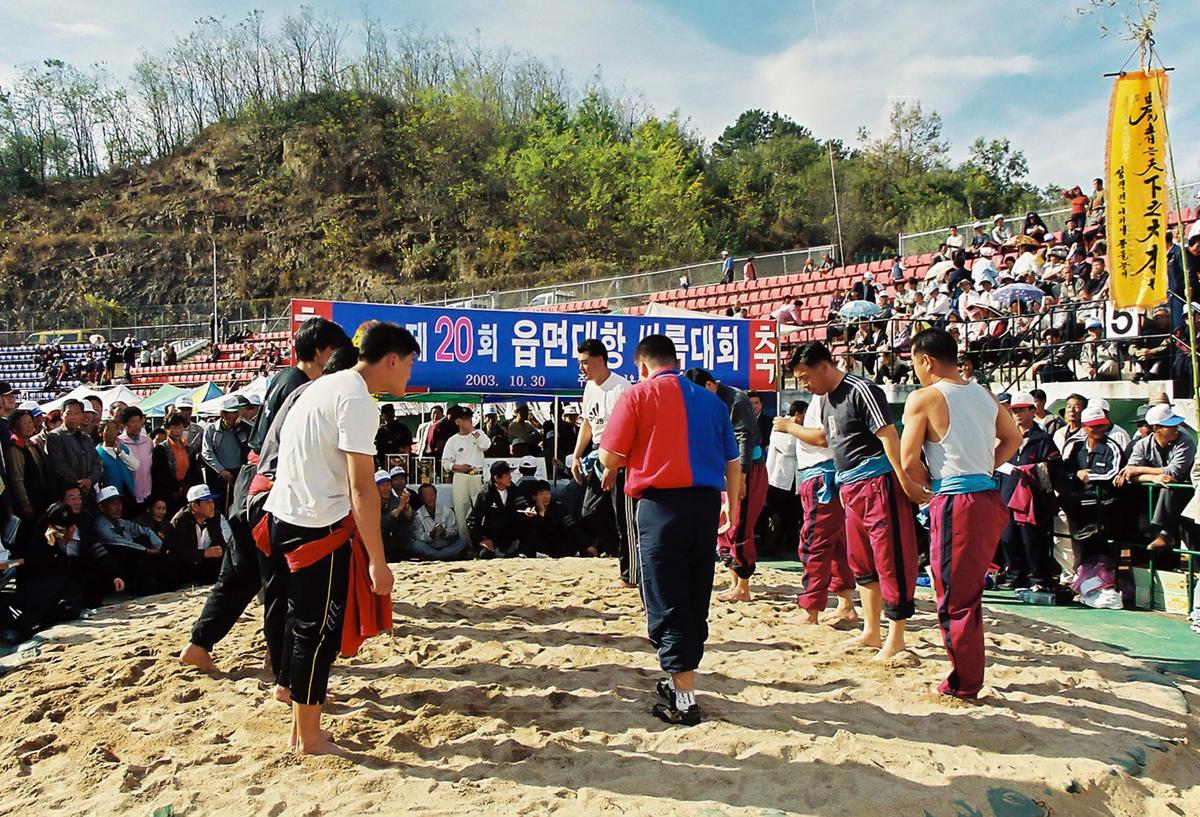 제20회 대야문화제 제22회 군민체육대회