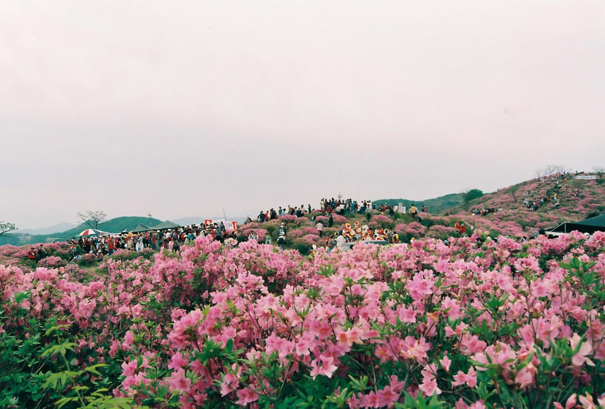 제6회 황매산 철쭉제