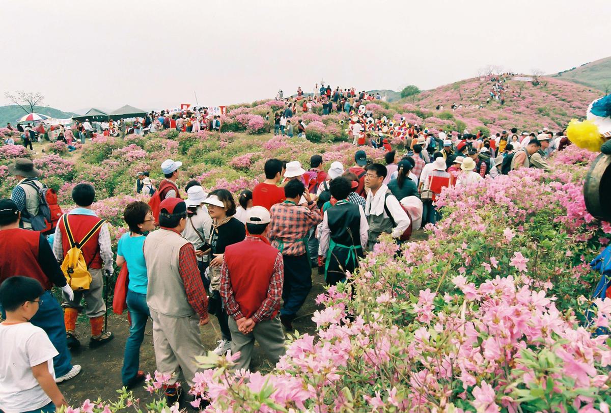 제6회 황매산 철쭉제