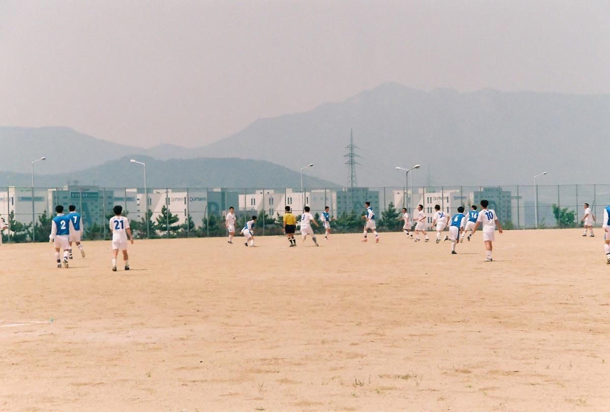 제42회 도민체육대회