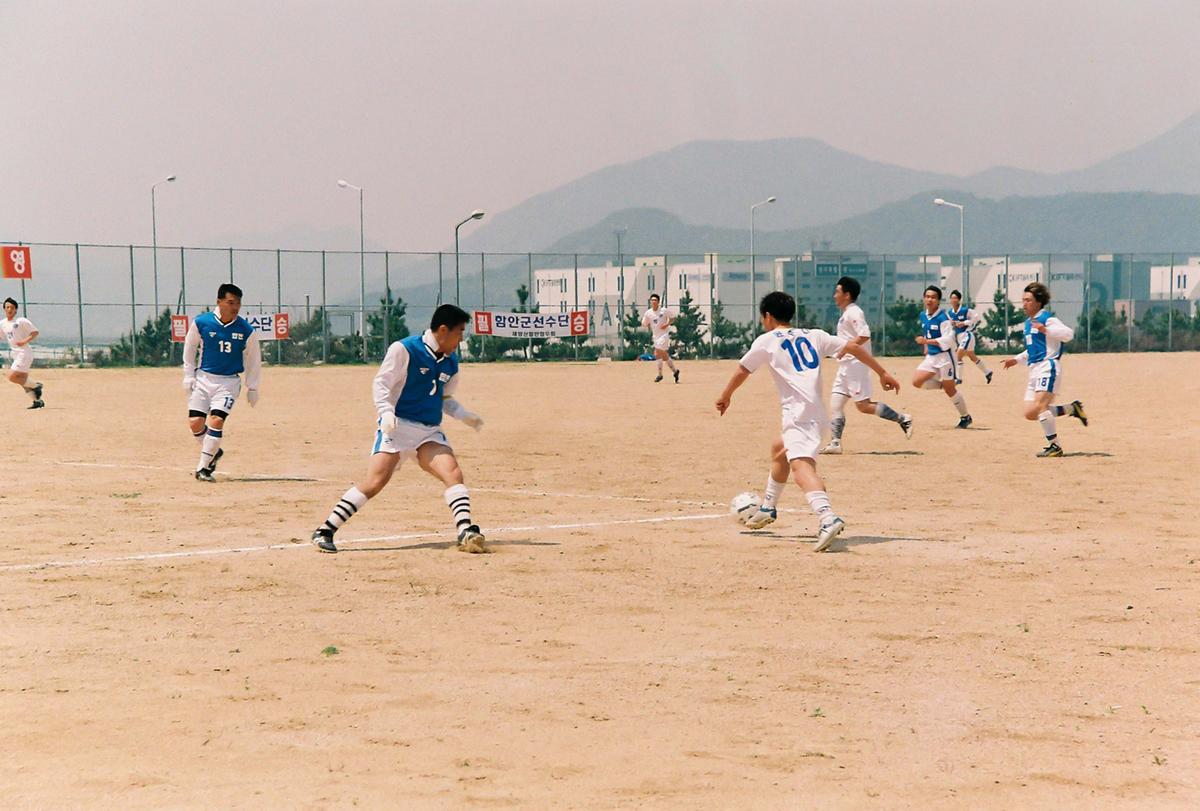 제42회 도민체육대회