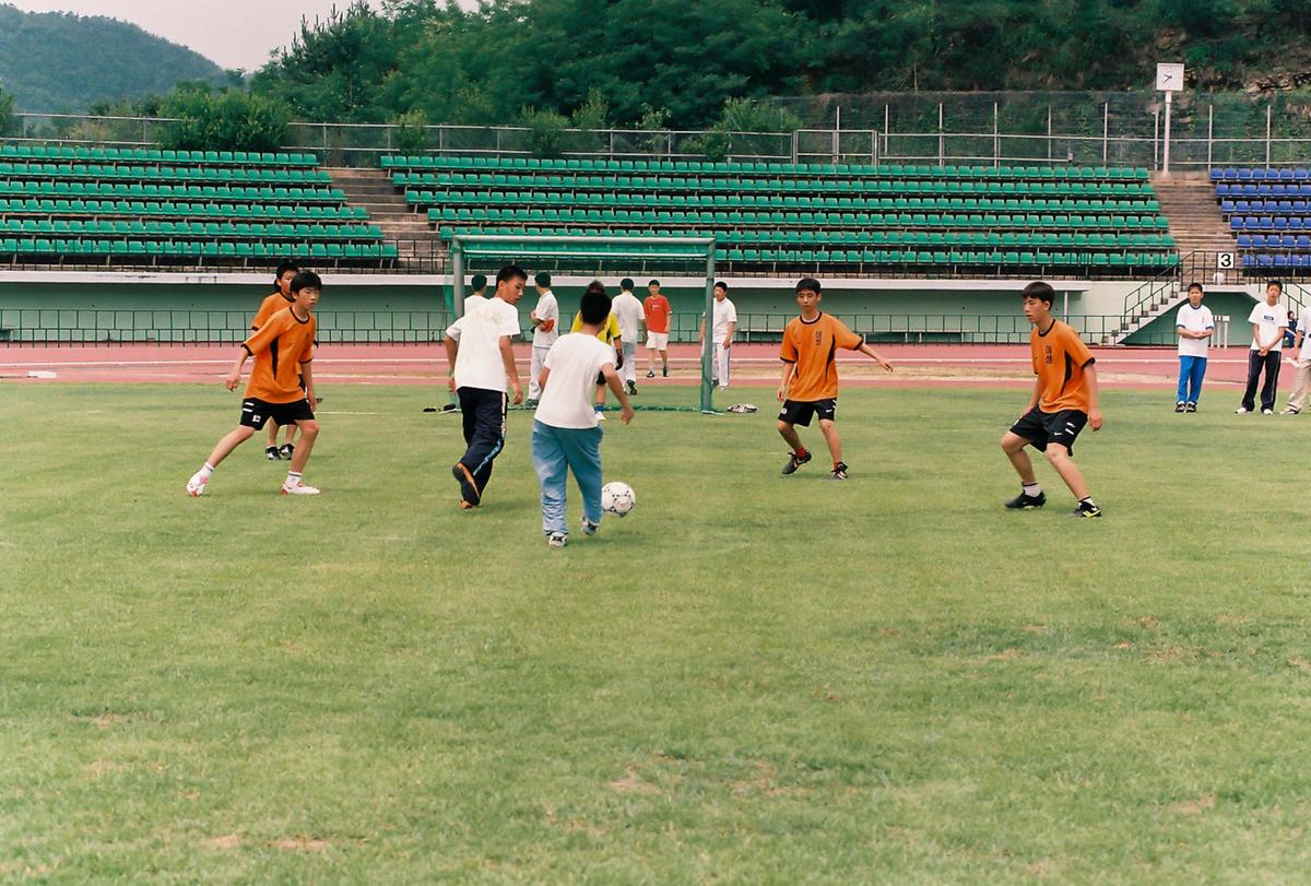 체육행사