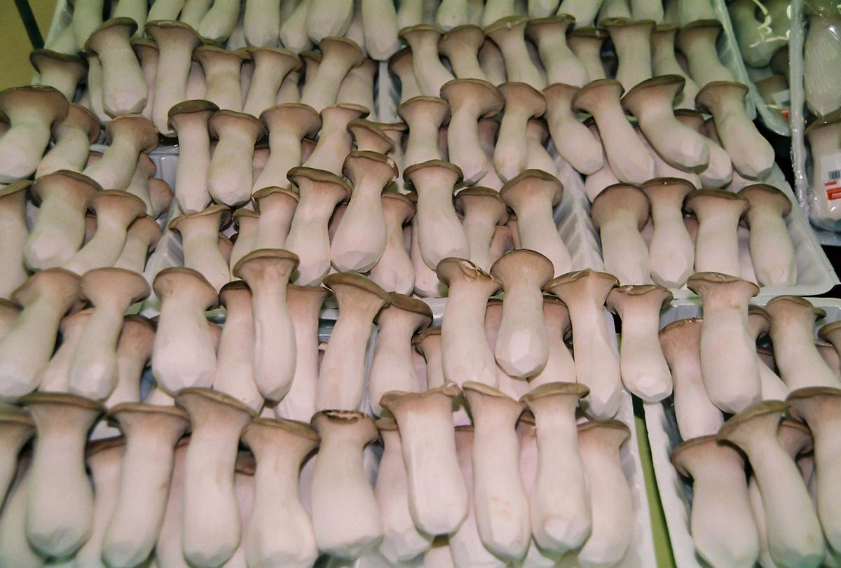 합천 농.특산물 직판행사