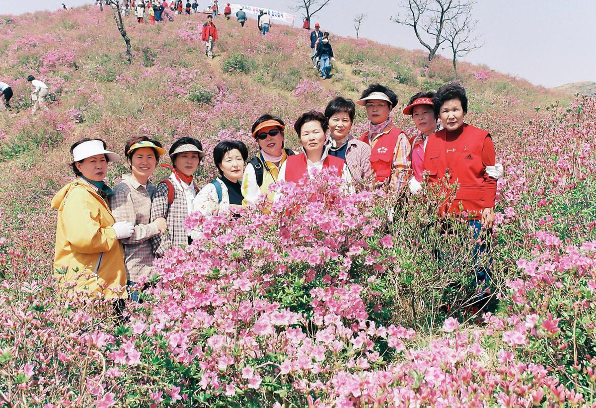 꽃사진