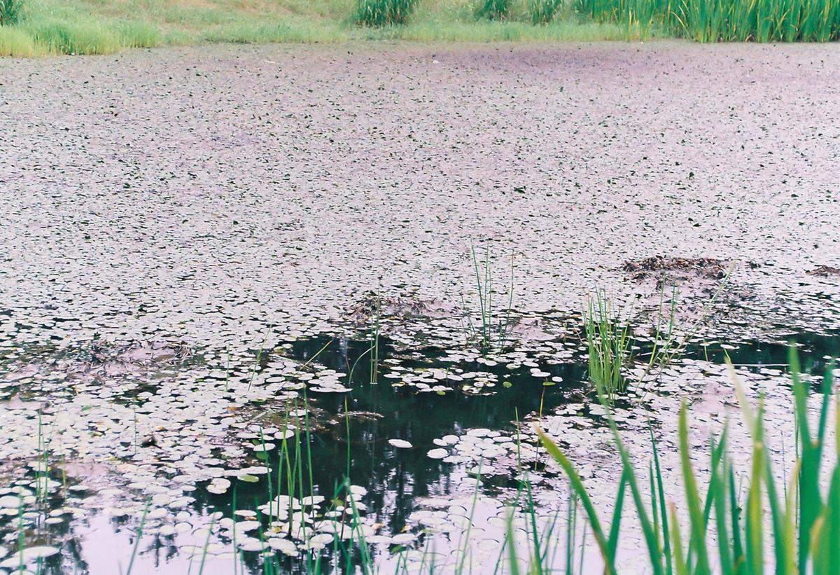 풍경사진