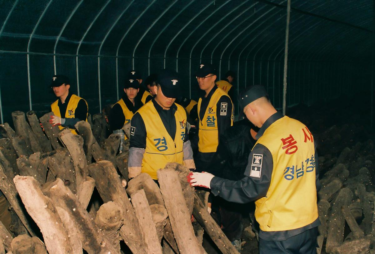 대민봉사