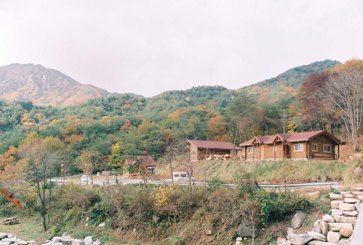오도산자연휴양림