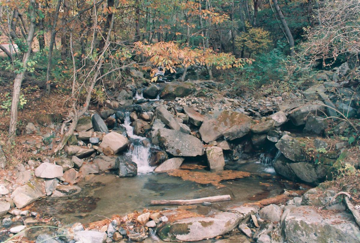 오도산자연휴양림